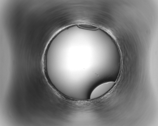 X0000093761056200710160832