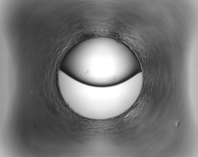 X0000093761057200710160831
