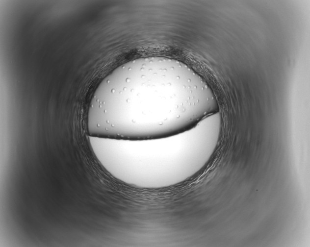 X0000093761059200710160831