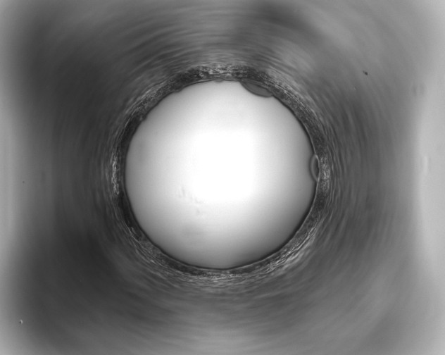 X0000093761060200710160831