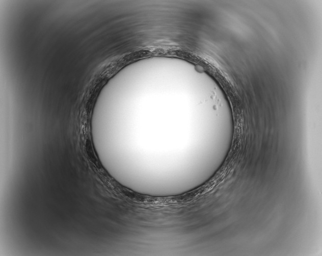 X0000093761063200710160831