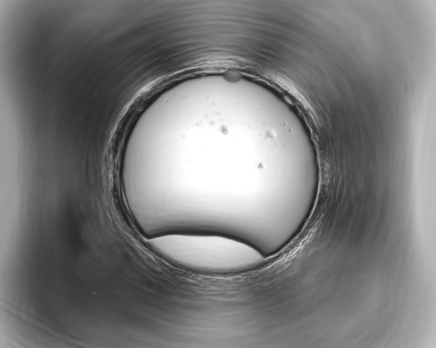 X0000093761067200710160831