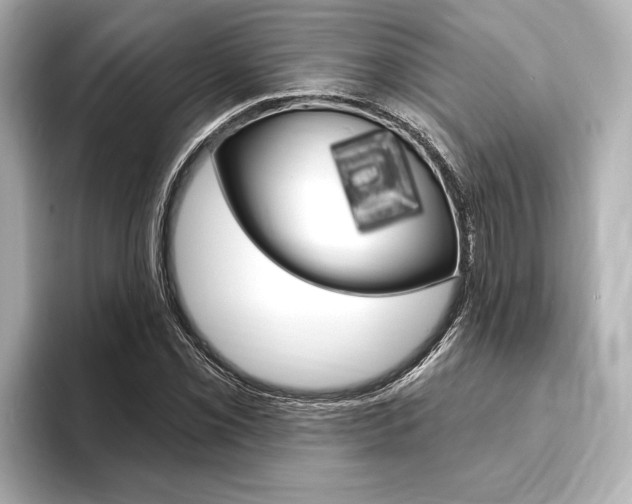 X0000093761069200710160831