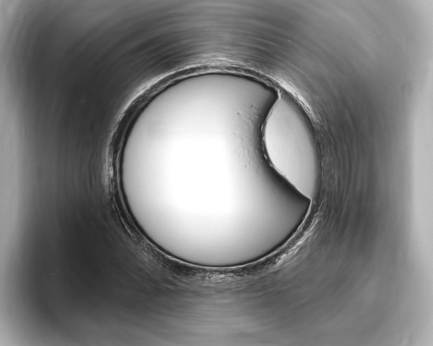 X0000093761070200710160831