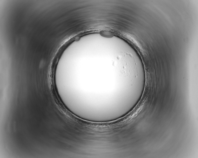 X0000093761071200710160831