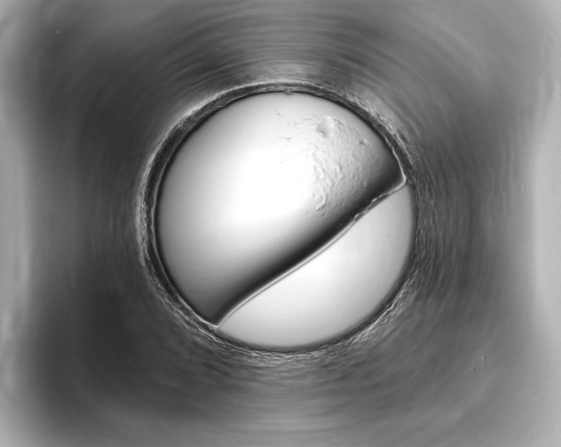 X0000093761072200710160831