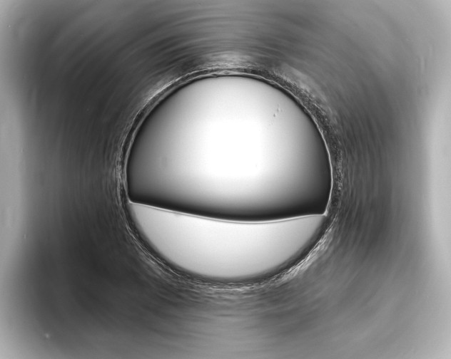 X0000093761073200710160831