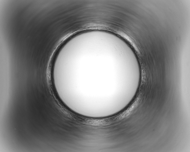 X0000093761074200710160831