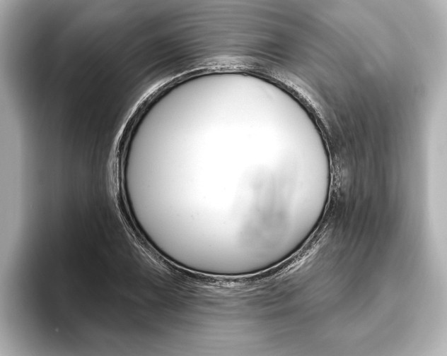 X0000093761075200710160831