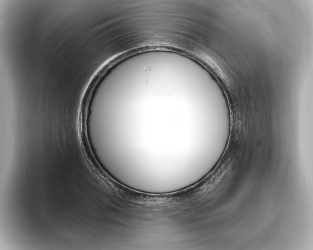 X0000093761076200710160831