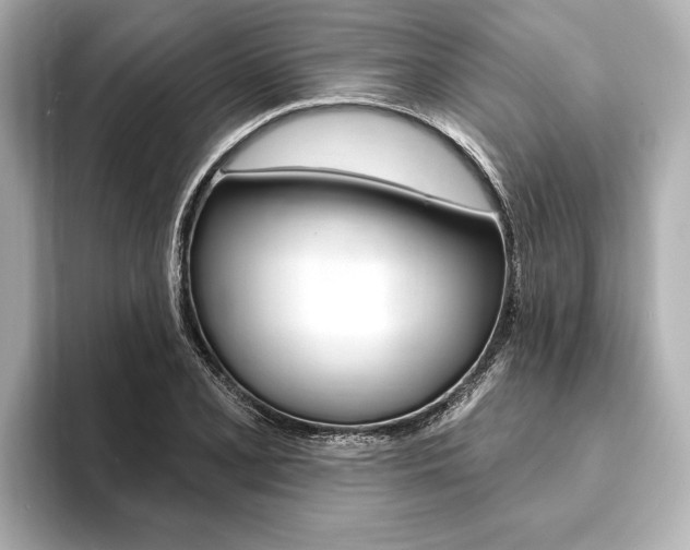 X0000093761077200710160831