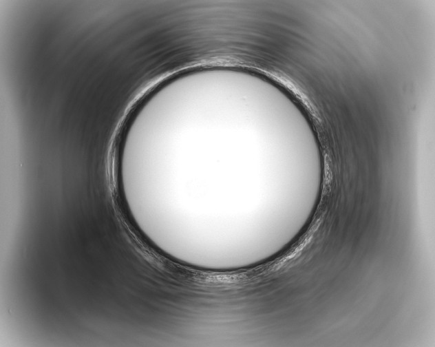 X0000093761078200710160831