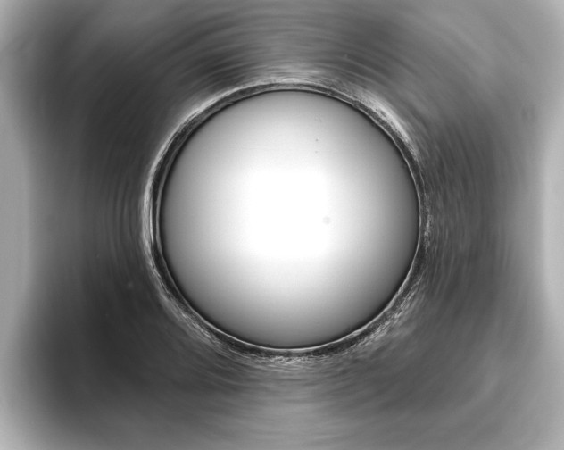 X0000093761080200710160831