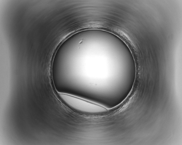 X0000093761081200710160831