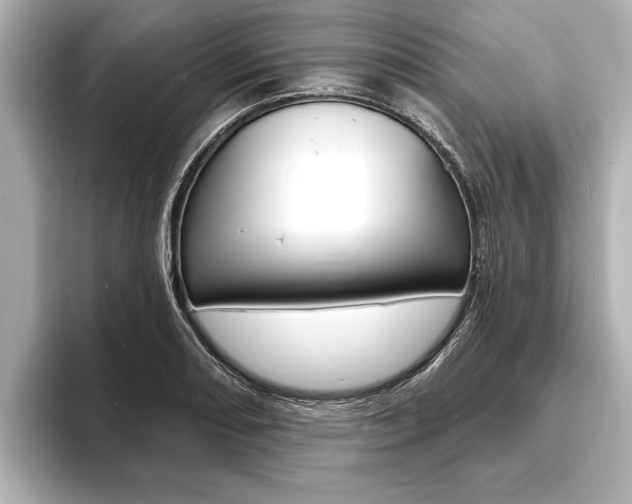 X0000093761082200710160831