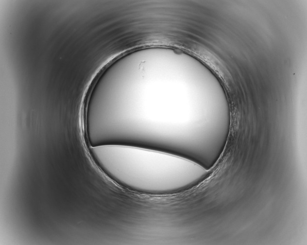 X0000093761084200710160831