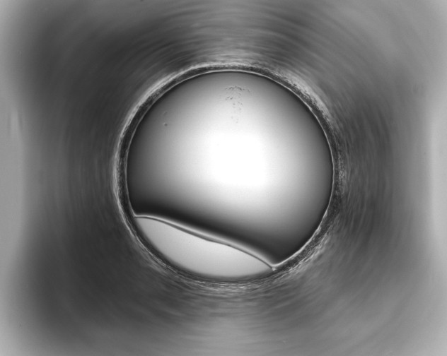 X0000093761085200710160831