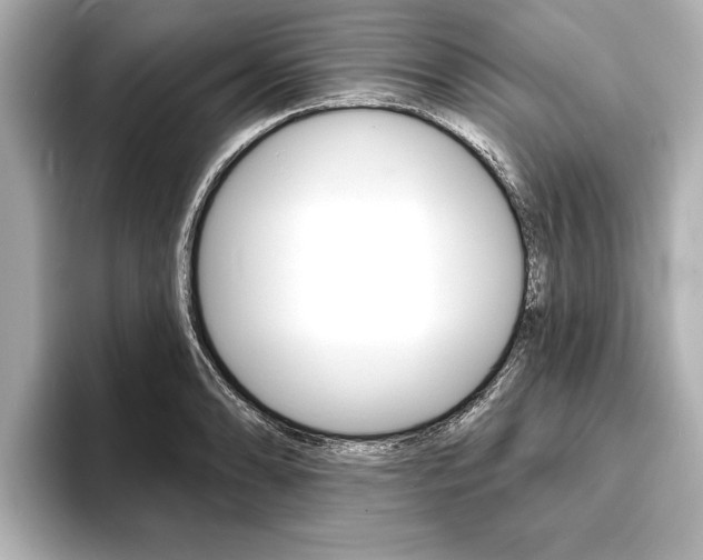 X0000093761086200710160831