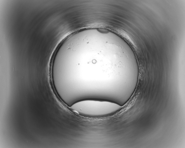 X0000093761087200710160831