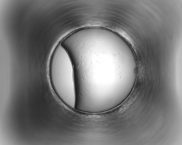 X0000093761088200710160831