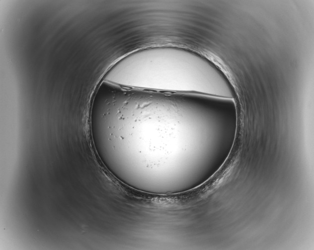 X0000093761089200710160831