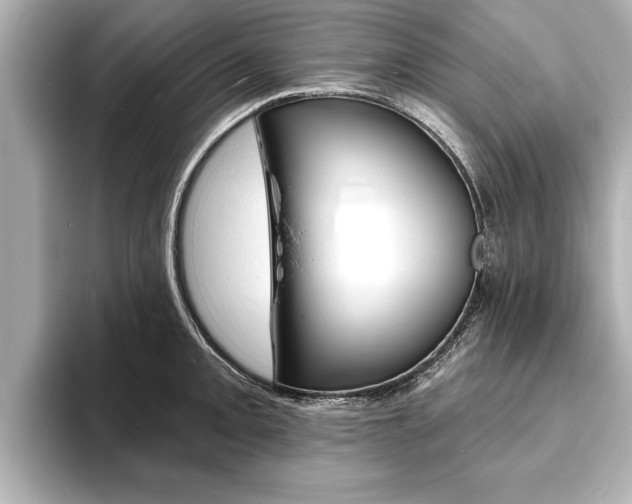 X0000093761093200710160830
