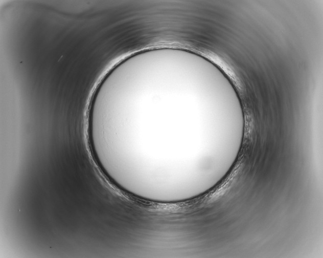 X0000093761094200710160830