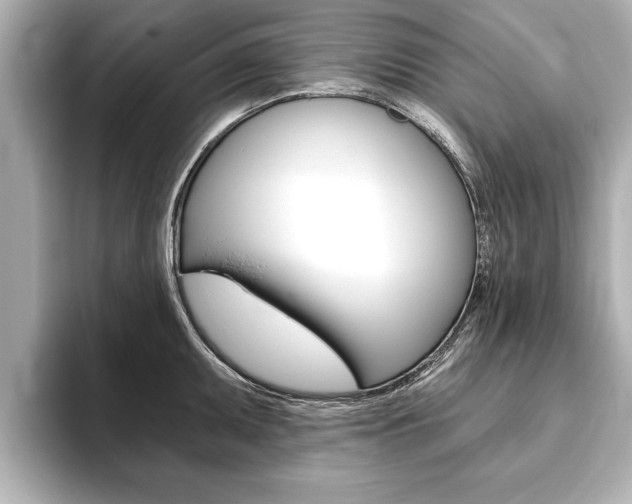 X0000093761095200710160830