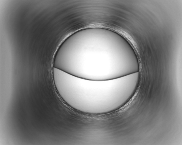 X0000093761097200710160830