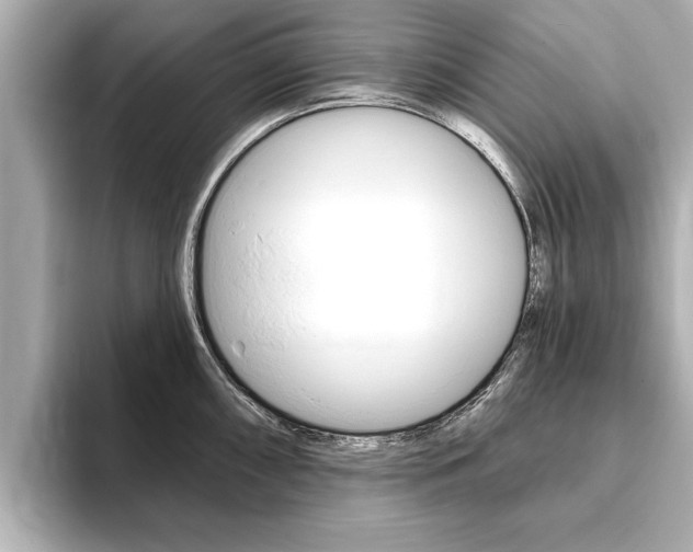 X0000093761098200710160830
