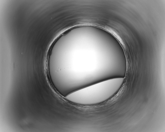 X0000093761101200710160830