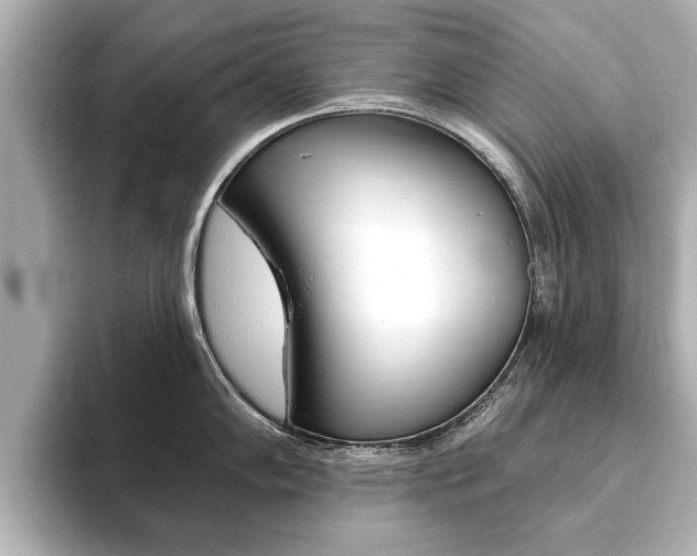 X0000093761102200710160830