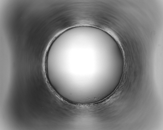 X0000093761104200710160830