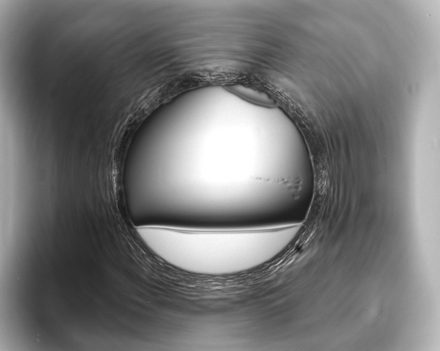 X0000093761108200710160830
