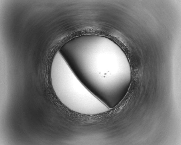 X0000093761111200710160830
