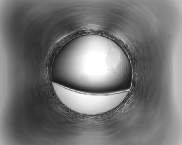X0000093761112200710160830