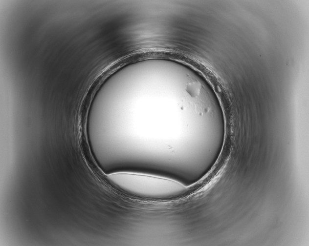 X0000093761113200710160830