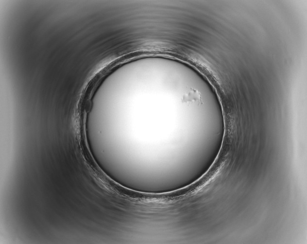 X0000093761114200710160830