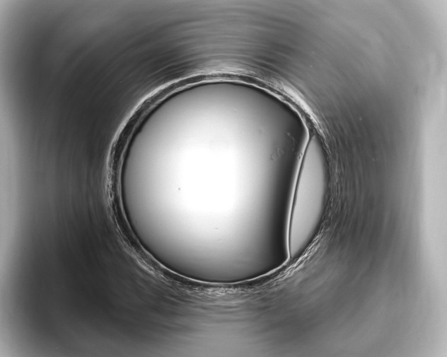 X0000093761116200710160830