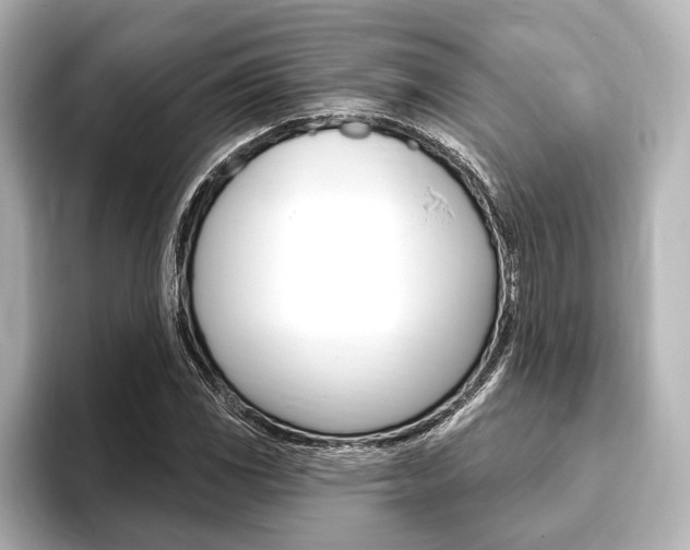 X0000093761117200710160830