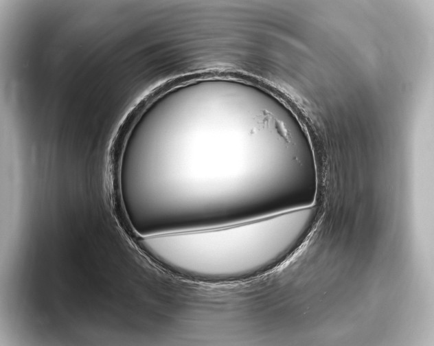 X0000093761118200710160830
