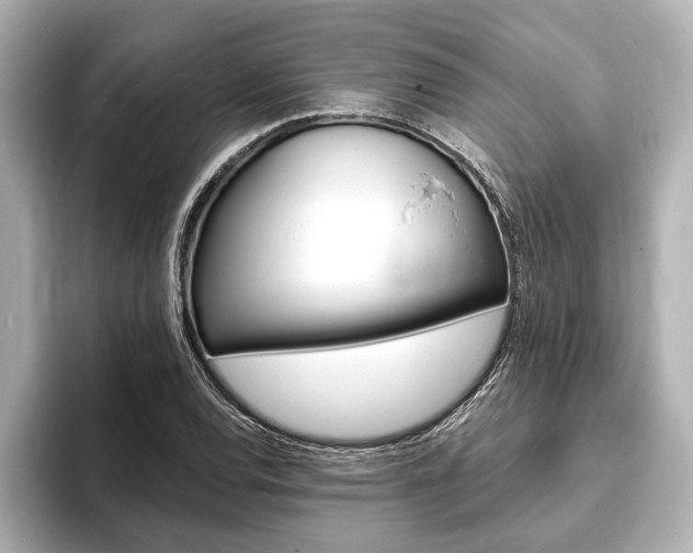 X0000093761120200710160830
