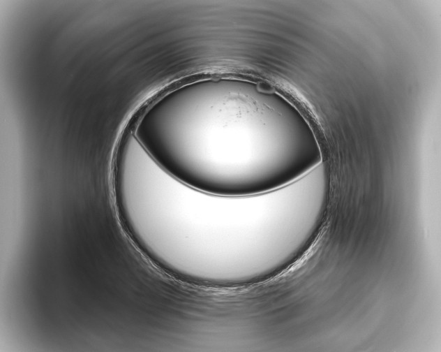 X0000093761122200710160830