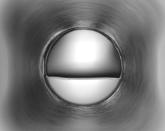 X0000093761123200710160830