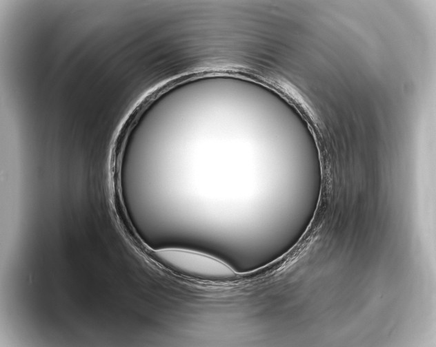 X0000093761124200710160830