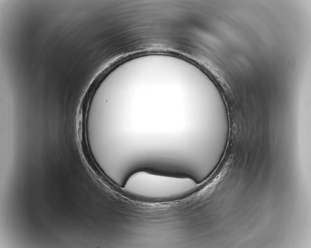 X0000093761126200710160830