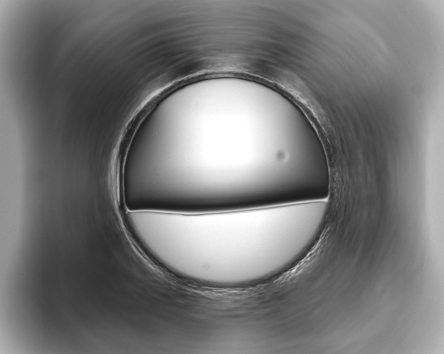 X0000093761127200710160830