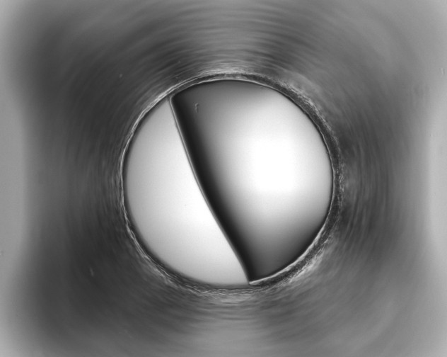 X0000093761129200710160830