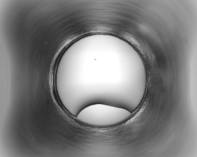 X0000093761130200710160830