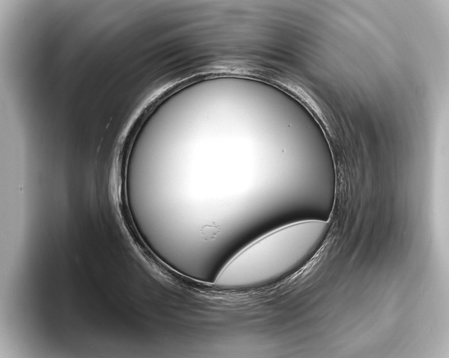X0000093761131200710160830